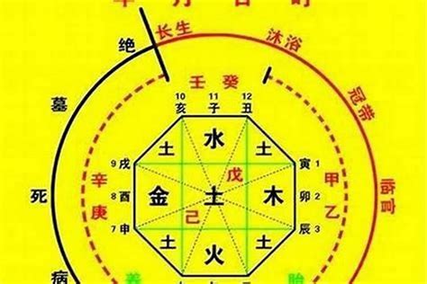 八字神數|生辰八字算命、五行喜用神查詢（免費測算）